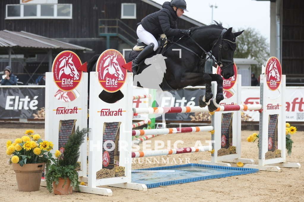 0P6A1247 | Willkommen bei Brunnmayr - Design & Fotografie – Ihrem Spezialisten für Reitturniere und Pferdeveranstaltungen in Oberösterreich, Salzburg und Bayern! Seit über 17 Jahren sind wir leidenschaftlich dabei.