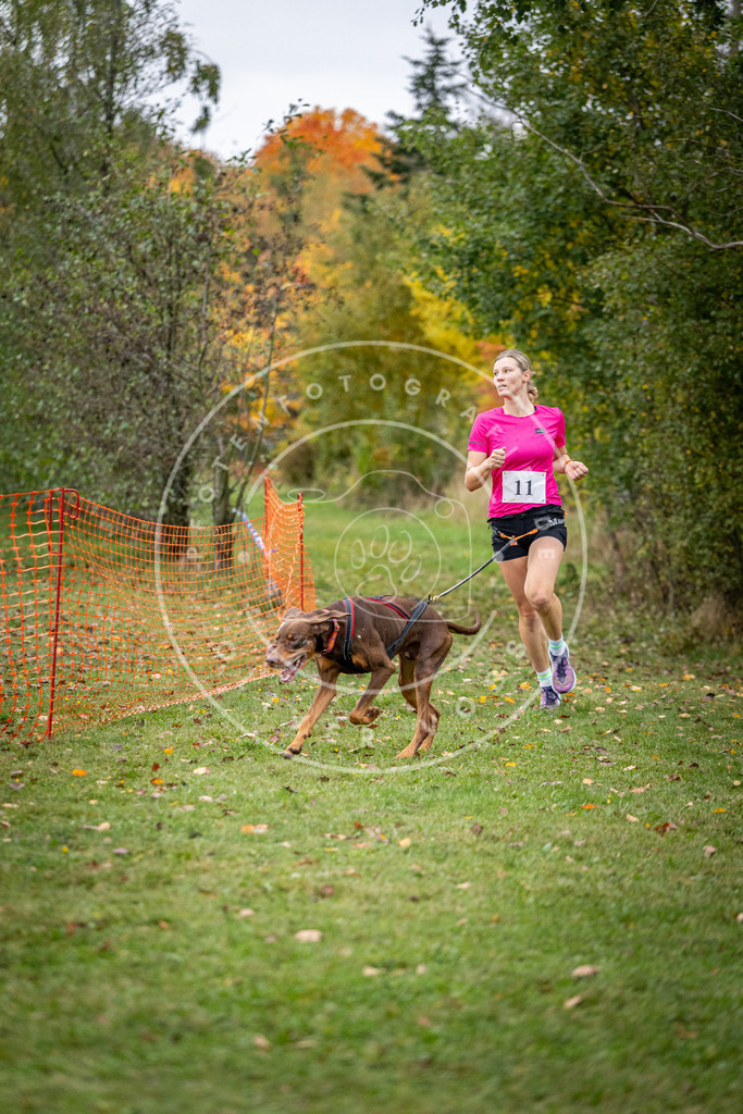 Pfotenfotografie_DV3A1786 | Hundefotografie, Tierfotograf, Pfotenfotografie, Fotoshooting Hund, Hunde Portrait, Hundesport, Hundeportraits, Heideshooting, Hunde, Sportfotograf, Hundefotograf, Turnierhundsport, THS,  - Realisiert mit Pictrs.com