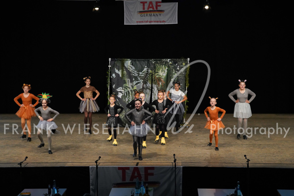 steppdm22_2892 | FRANK WIESEHAHN MEDIA - Realisiert mit Pictrs.com