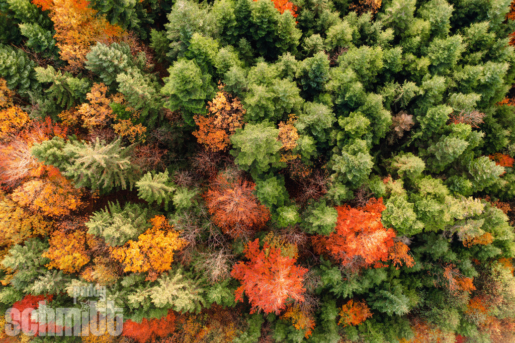 PS-Aerials-2026-90 | Entdecke die größte Bildgalerie der Region mit Fotografien aus dem Allgäu, der Bodenseeregion, Oberschwaben, dem Donautal und der Schwäbischen Alb. Landschaften, Luftaufnahmen und Reisefotografie als Wandbild und Fotokunst. - Realisiert mit Pictrs.com