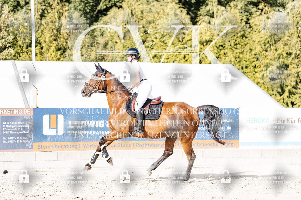 CK909442 | Turnierfotografie Pferdefotografie Trier Rheinland-Pfalz Pferdesport Reitsport Tierfotografie Sportfotografie Pferdevideo Pferdevideografie Equestrianvideography equestrianphotography  - Realisiert mit Pictrs.com