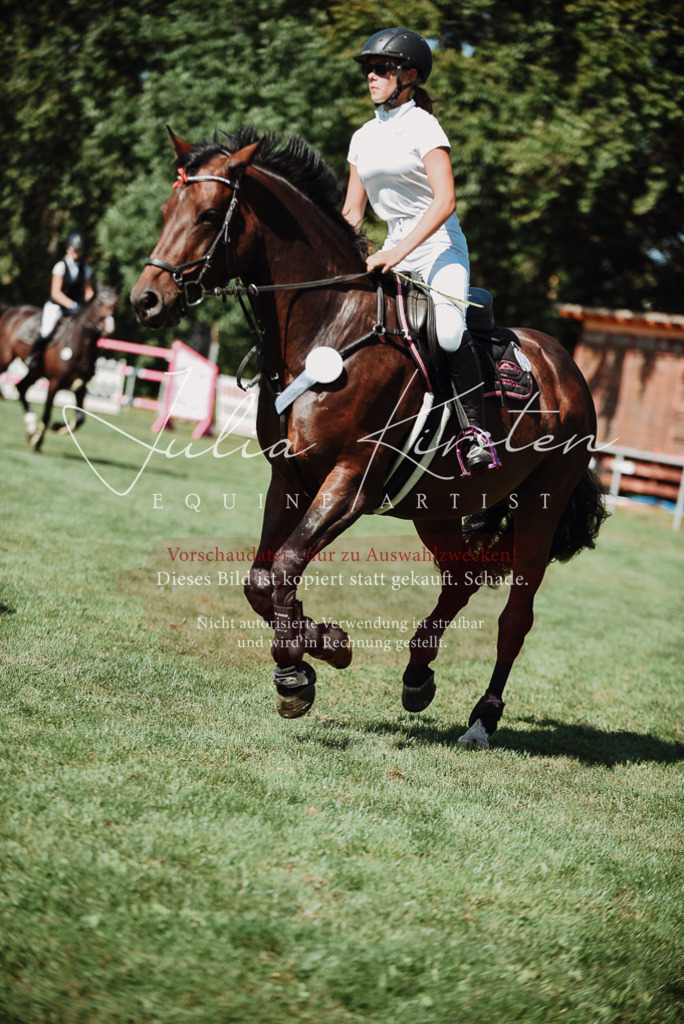 DSC_3372 | Pferde- und Turnierfotografie in Westsachsen. Pferdeportraits, Auftragszeichnungen und intuitive Kunst.