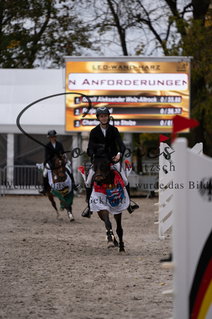 A7V00732 | Pferdefotograf