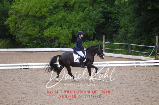 DKP46946 | Turniersportfotografie; Pferdefotografie; Dressurfotografie