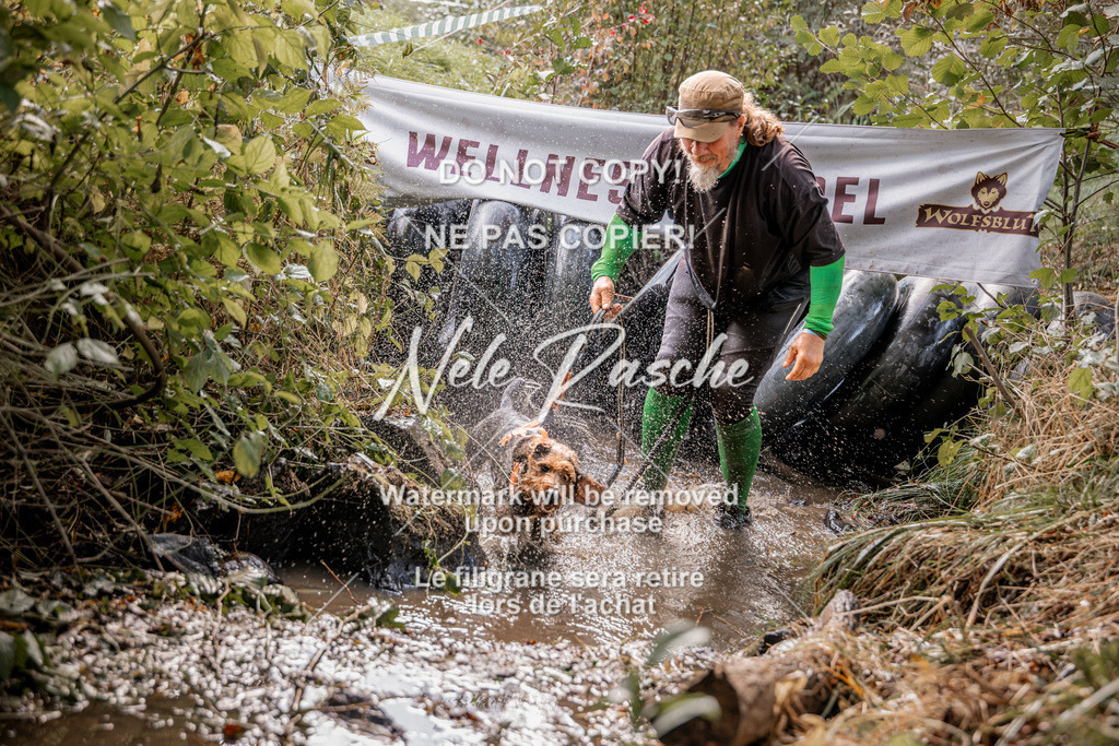 nelerasche_Hunsrück2026_Sa1400-1500_211 | nelerasche