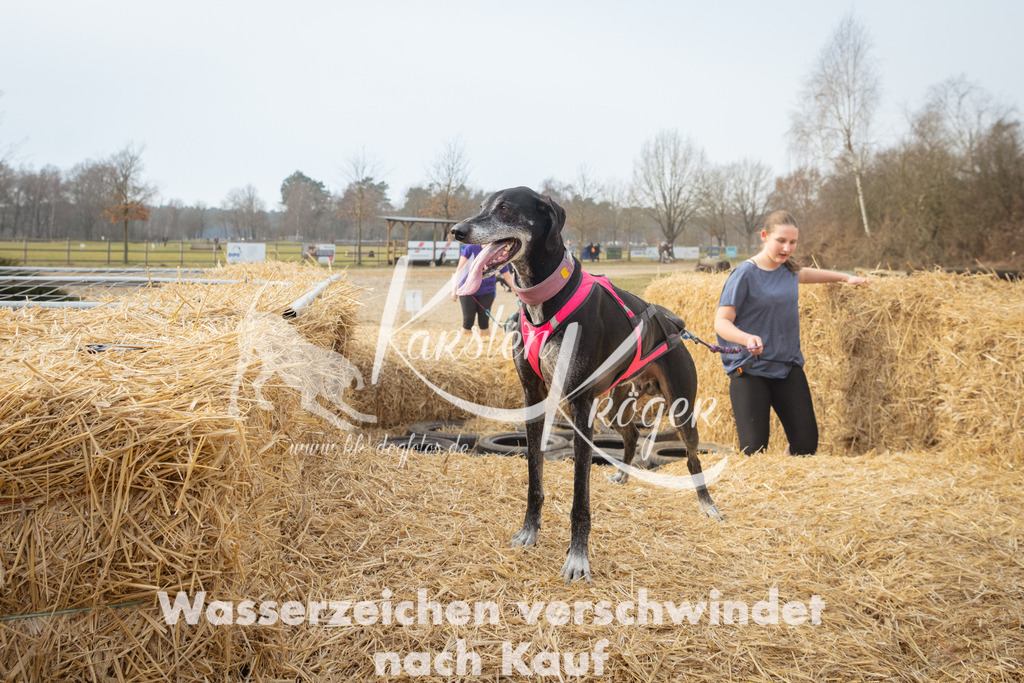 1039_ZZ97272 | kk-dogfotos