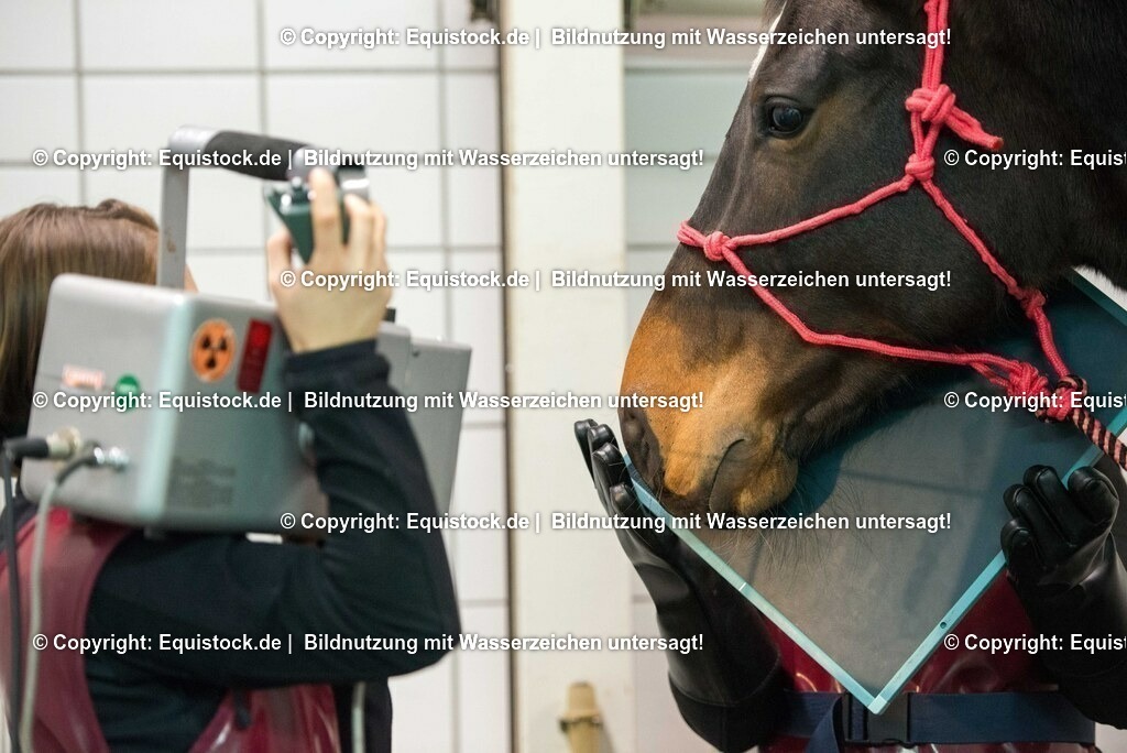 20170113_R__ntgen_0043 | Foto: Thomas Hartig