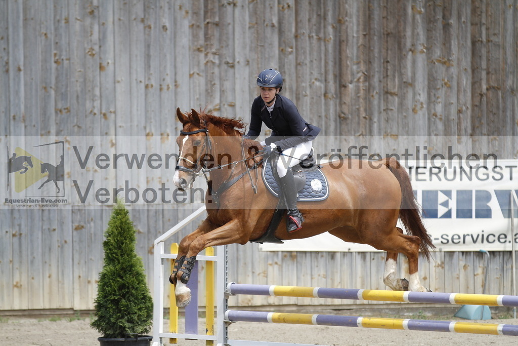 _MG_1345 | equestrian-live-com