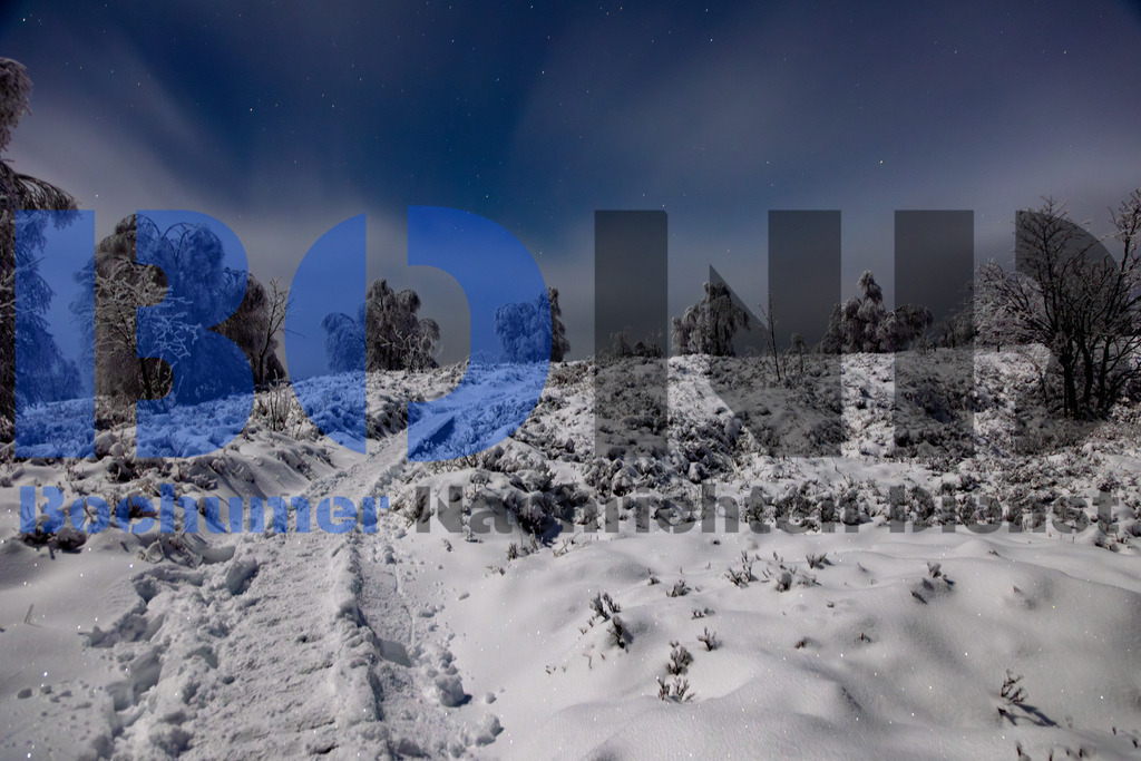 Hohes Venn bei Nacht im Schnee {date} -  | {headline}



(Foto: Sebastian Sendlak / BOND)

 - Realisiert mit Pictrs.com