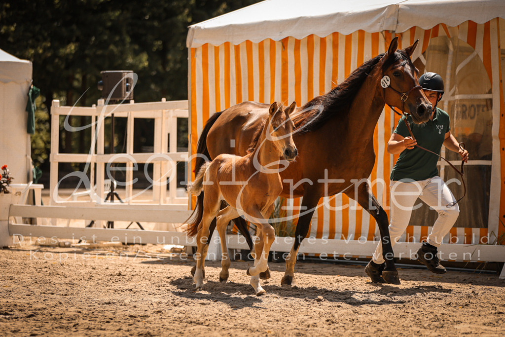 03.DoAB00026 | Leoni Ertmer Photography - Realisiert mit Pictrs.com