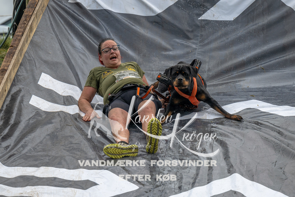 1545_ZZ90324 | kk-dogfotos