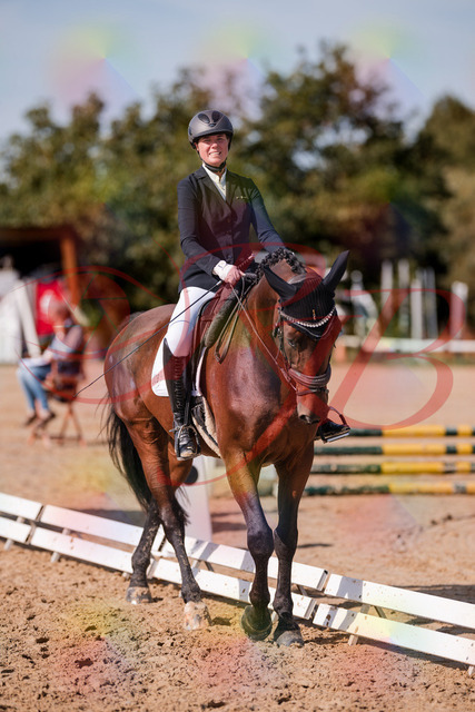 2026_10_03_Siefer-Hof_125939_Z81_50917232 | Professionelle Reitsport-, Turnier- und Eventfotografie von Robert Broda. Galerien mit ausgewählten und bearbeiteten Bildern direkt online ansehen und bestellen.