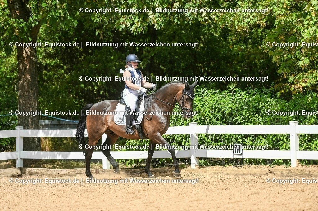 20230715_02_Dressurreiterprüfung Kl.L_0371 | equistock