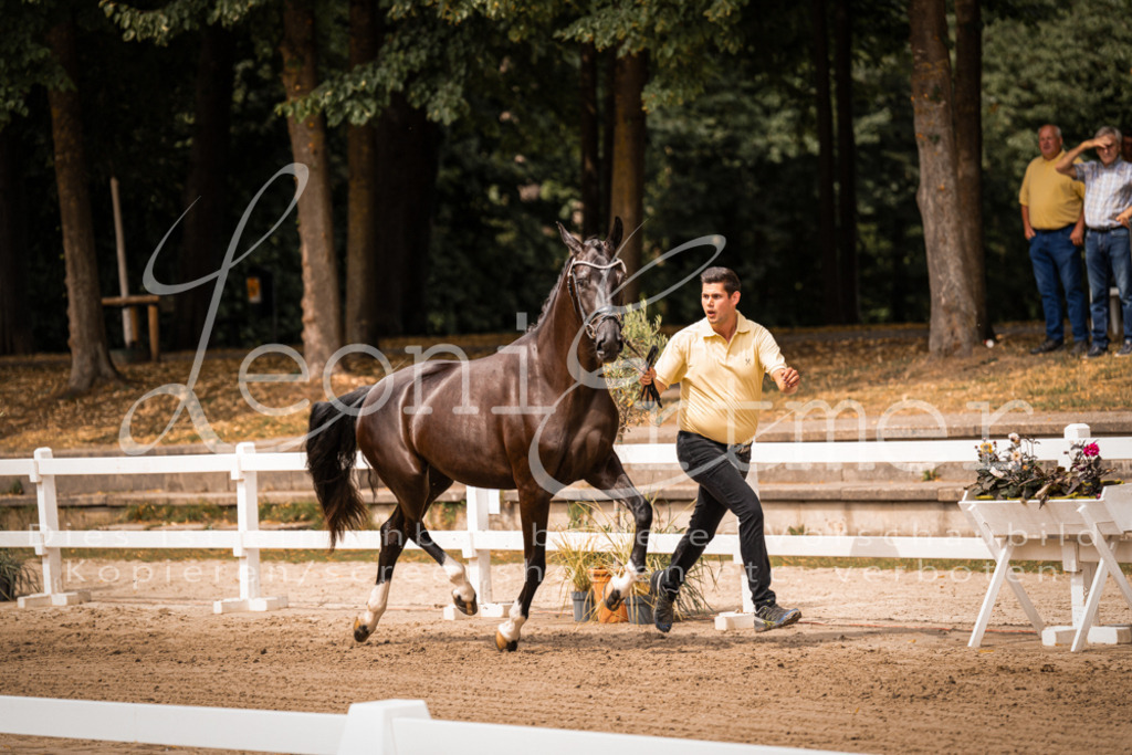 4.Fr00193 | Leoni Ertmer Photography - Realisiert mit Pictrs.com