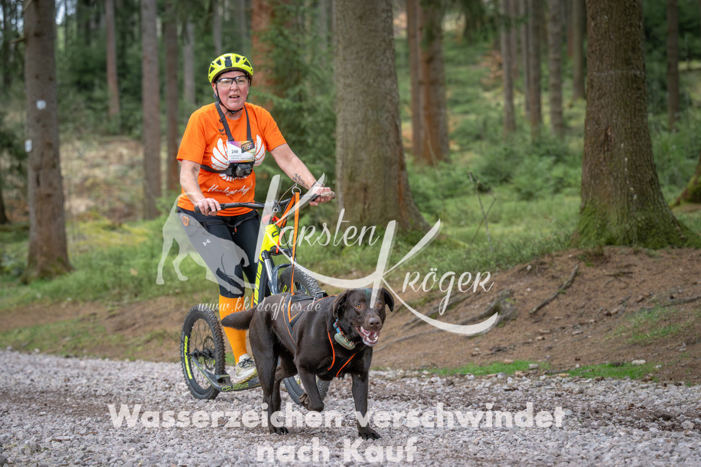1019_ZZ92272 | kk-dogfotos