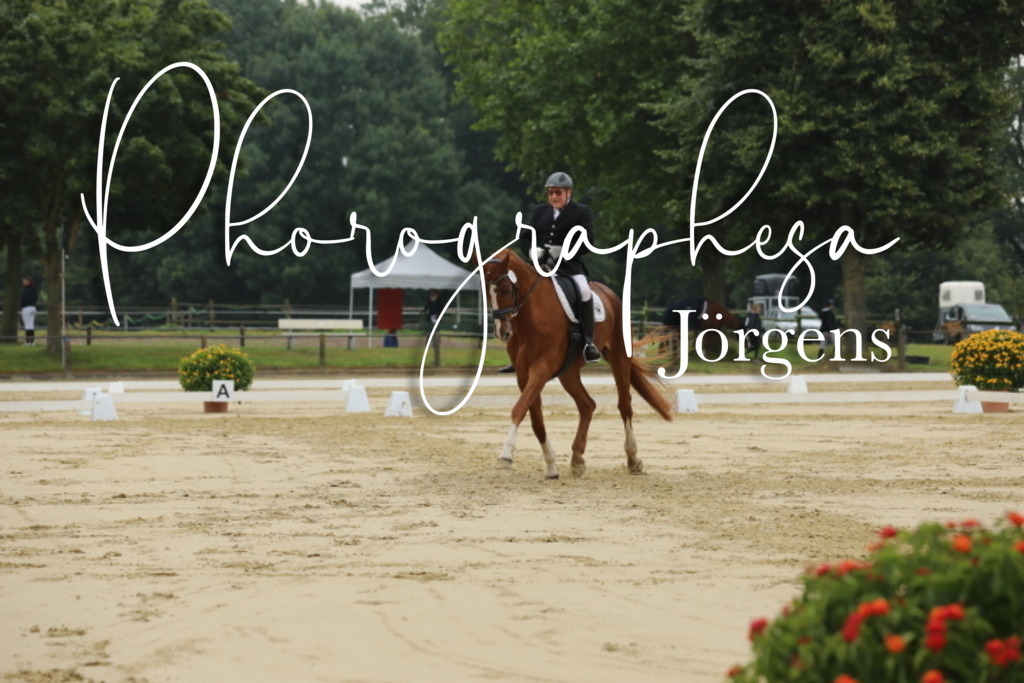 IMG_5068 | photographesa-joergens - Realisiert mit Pictrs.com