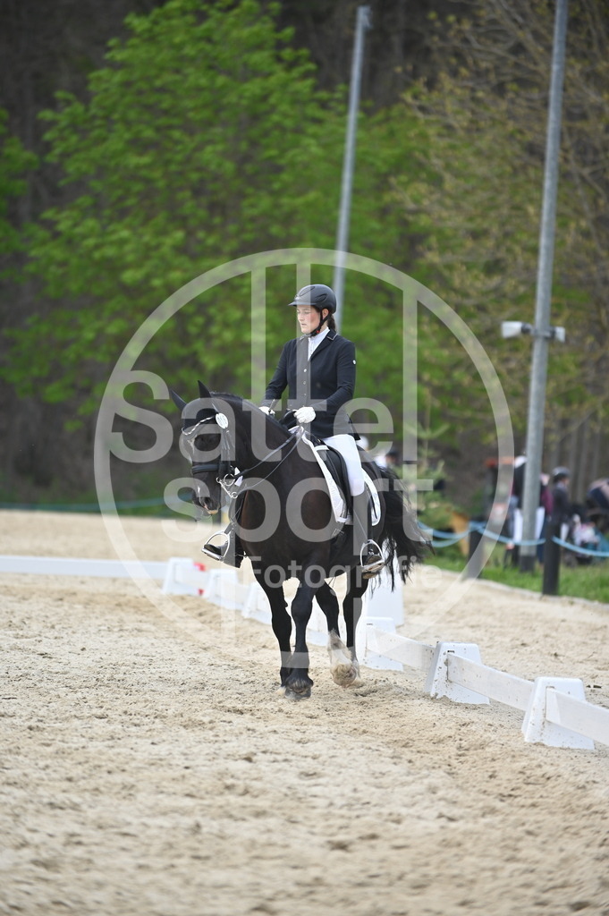 DSC_5176 | sattelsport - Realisiert mit Pictrs.com