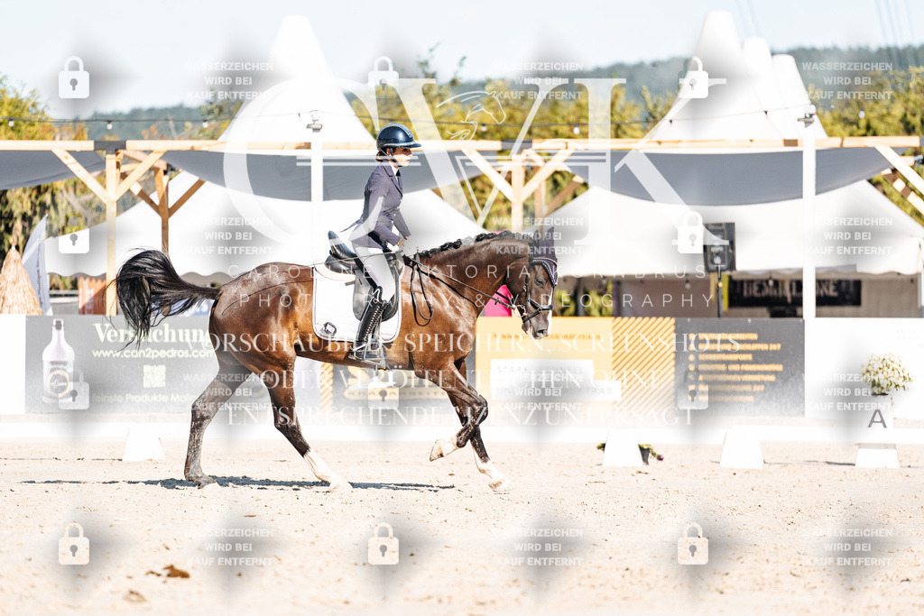 CK907488 | Turnierfotografie Pferdefotografie Trier Rheinland-Pfalz Pferdesport Reitsport Tierfotografie Sportfotografie Pferdevideo Pferdevideografie Equestrianvideography equestrianphotography  - Realisiert mit Pictrs.com