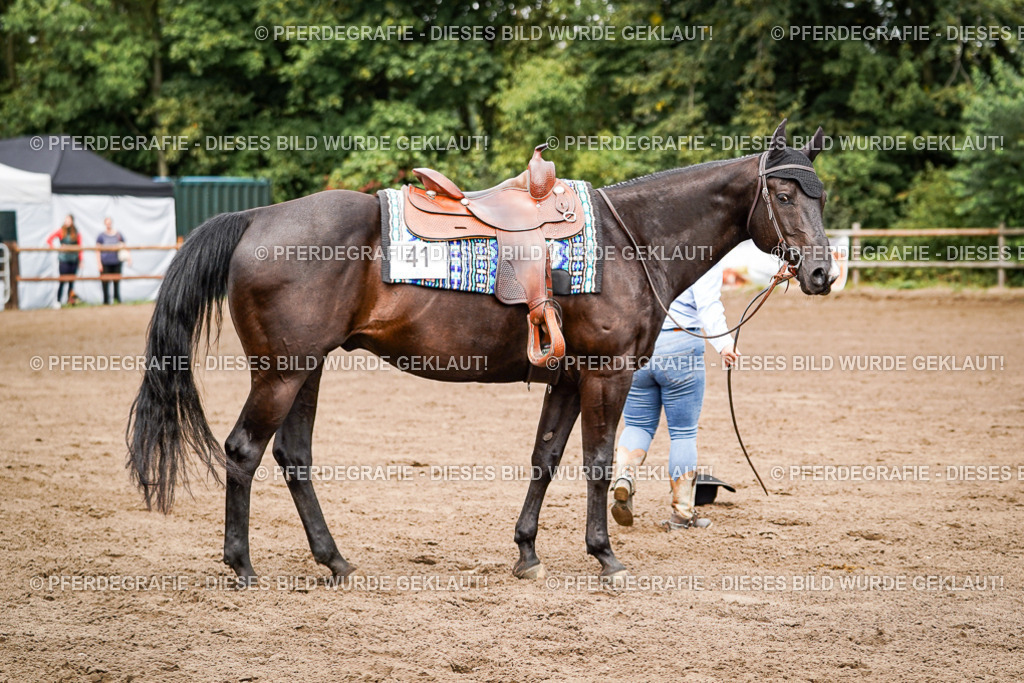 DSC06477 | Pferdegrafie