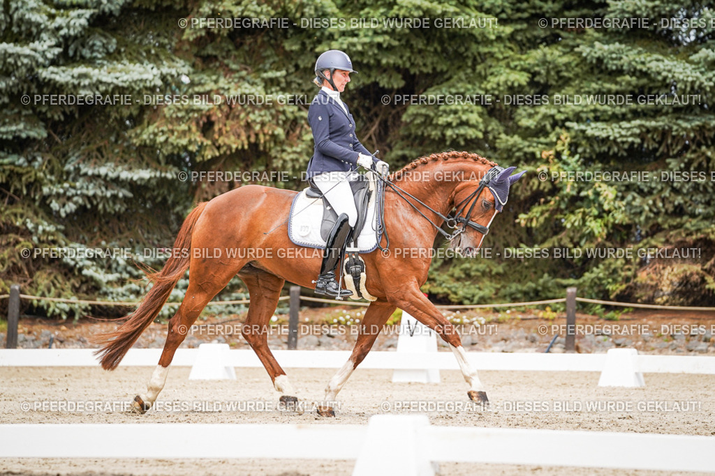 DSC05208 | Pferdegrafie