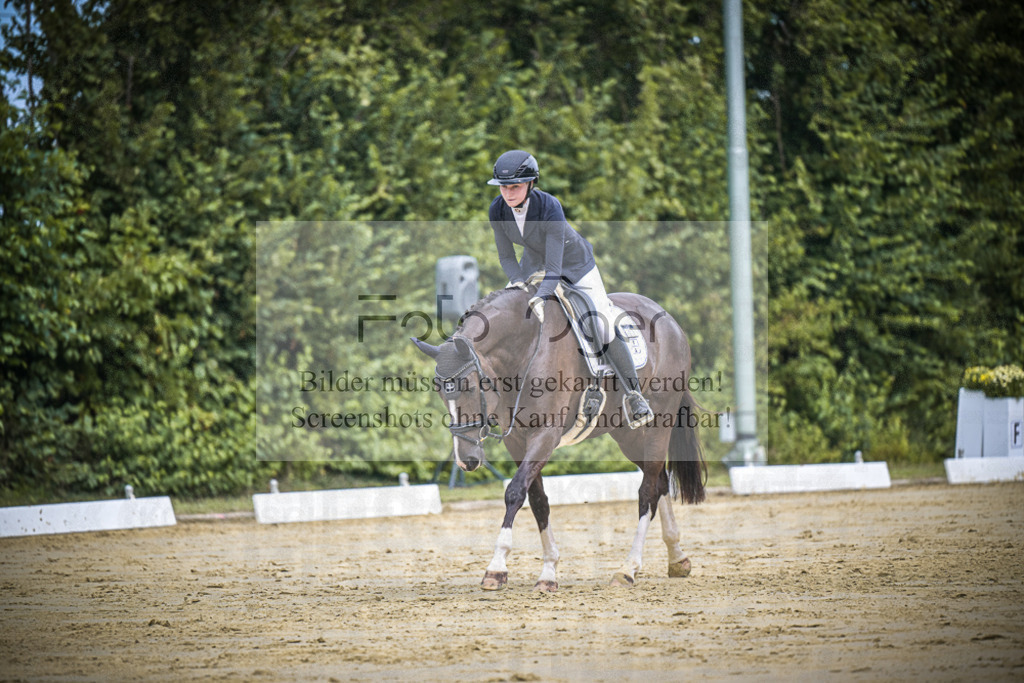 DOS_1897 | Entdecke hochwertige Reitturnierfotos von Foto Oger. Professionell, emotional und authentisch – jetzt Lieblingsmomente im Shop bestellen.Deutschlandweite Turnierfotografie. - Realisiert mit Pictrs.com