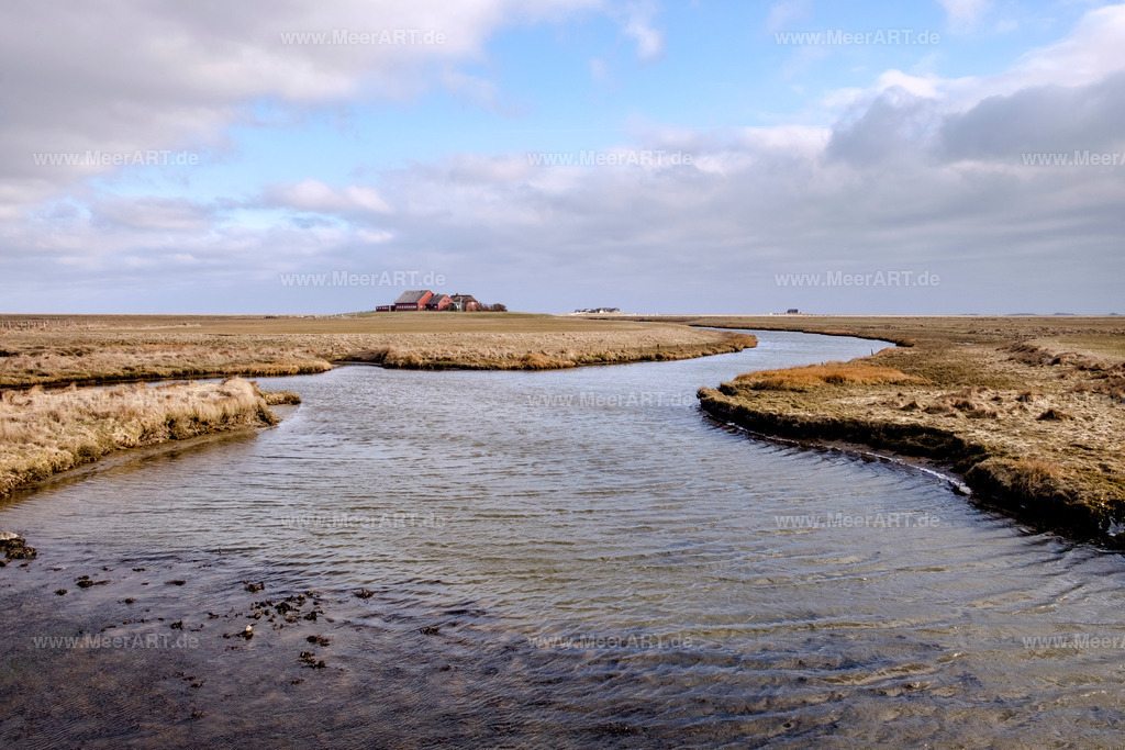Hallig Langeneß | Die Hallig Langeneß im nordfriesischen Wattenmeer - Realisiert mit Pictrs.com