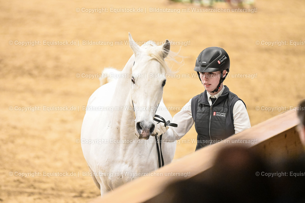 20260307_Hengstvorstellung-Marbach_0293 | equistock