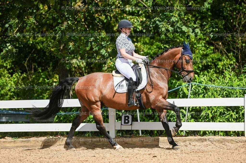 20230715_02_Dressurreiterprüfung Kl.L_0153 | equistock