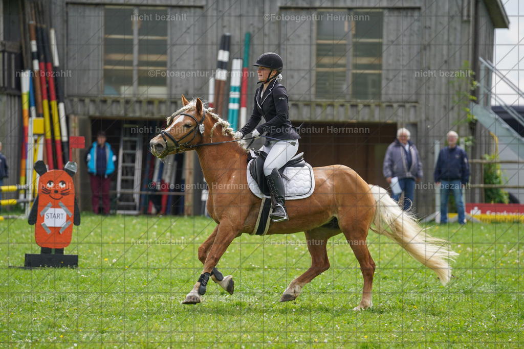 20240509-FAH02468 | Turnierbilder der Turnierfotografen Bayern, Pferdesport Fotografie, Reitsportbilder, Turnier Landberg am Lech, Turnierbilder bayern, Fotoagentur Herrmann
