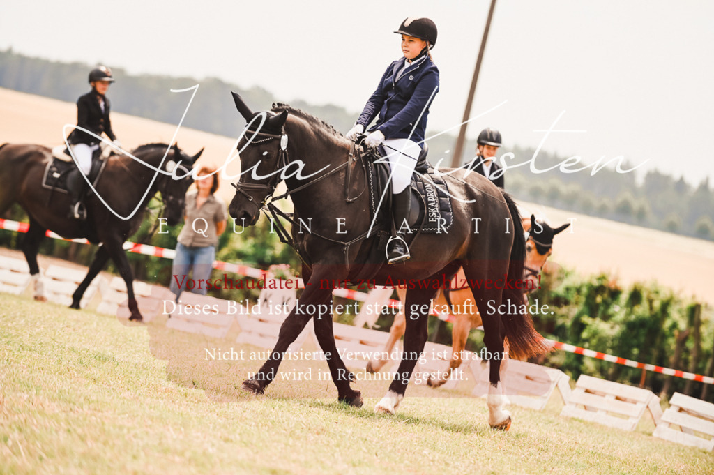 DSC_6317 | Pferde- und Turnierfotografie in Westsachsen. Pferdeportraits, Auftragszeichnungen und intuitive Kunst.