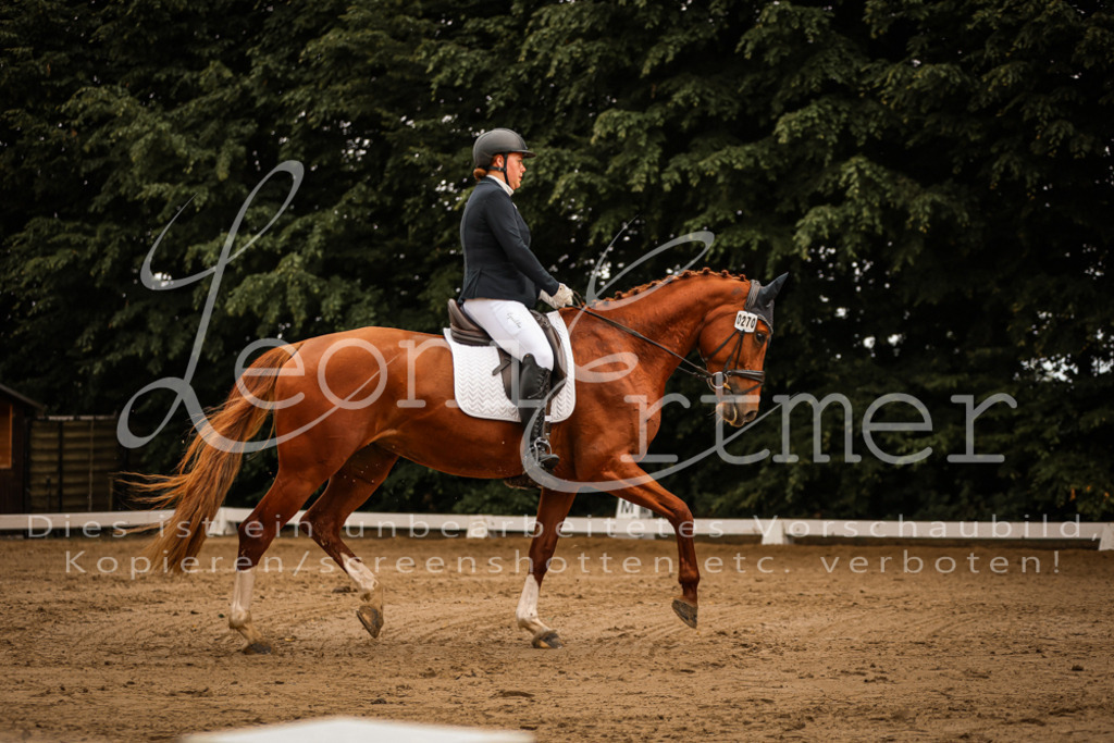 17.SoDrL00308 | Leoni Ertmer Photography - Realisiert mit Pictrs.com