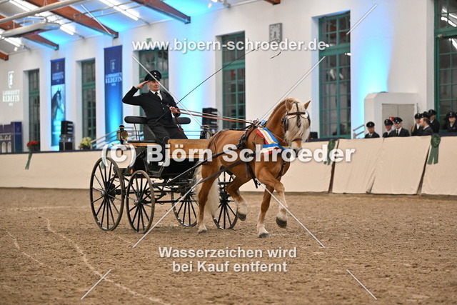 Neustart_974_5429 | Björn Schroeder Pferdefotografie