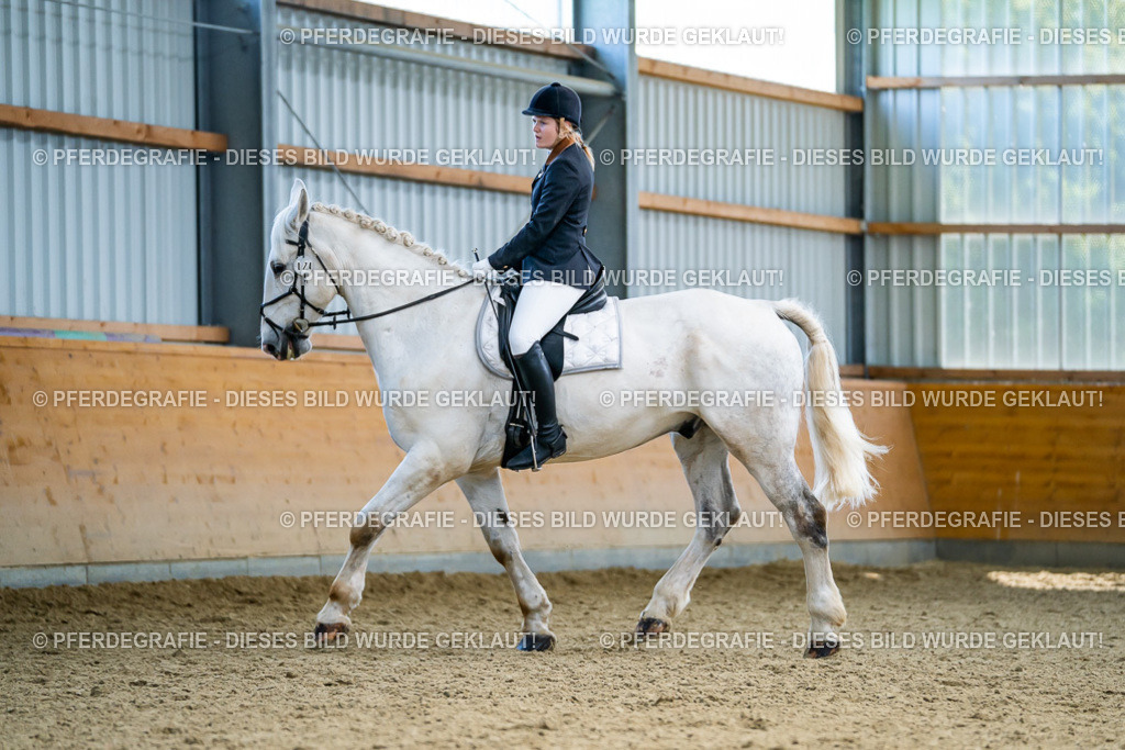 DSC05678 | Pferdegrafie