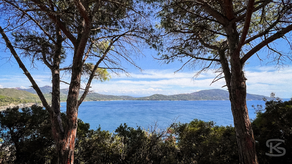 Wildes Elba: Panoramablick durch Pinien über die Küstenlandschaft auf das Mittelmeer – Wandbild | Panorama-Ausblick auf die hügelige Küstenlandschaft der Insel Elba mit typisch mediterraner Vegetation und Pinien im Vordergrund und dem weiten, blauen Meer unter sommerlichen Wolkenformationen. - Realisiert mit Pictrs.com