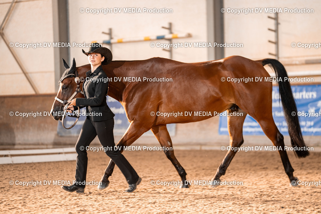 LM Heiligenwald Tag 1-10 | dv-media-shop - Realisiert mit Pictrs.com