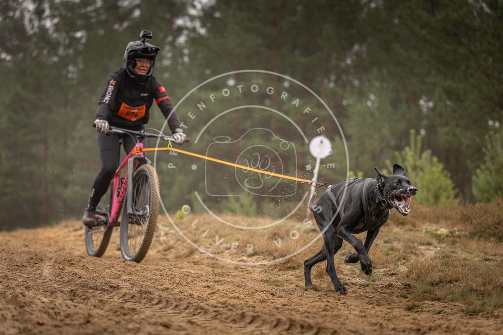Pfotenfotografie_DV3A2697 | Hundefotografie, Tierfotograf, Pfotenfotografie, Fotoshooting Hund, Hunde Portrait, Hundesport, Hundeportraits, Heideshooting, Hunde, Sportfotograf, Hundefotograf, Turnierhundsport, THS,  - Realisiert mit Pictrs.com