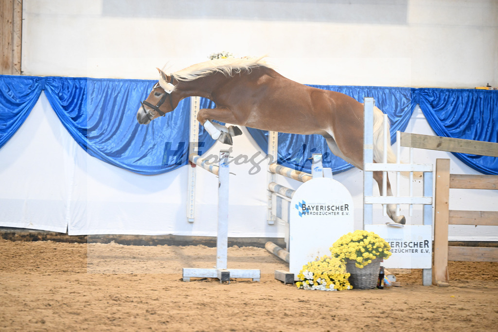 Kat-Nr. 31 Weinbrand v. Weingold S_Brugger_48250702 | hf-fotografie - Realisiert mit Pictrs.com