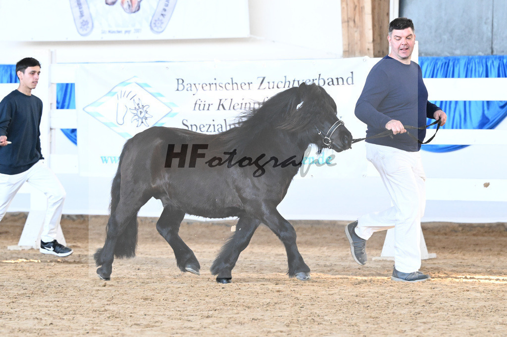 Kat-Nr. 25 Watson von Neuhaeusler v. Wolfgang v d Roemer_Baumann_9260632 | hf-fotografie - Realisiert mit Pictrs.com