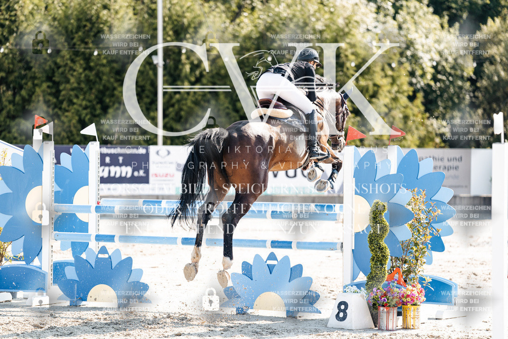 CK902146 | Turnierfotografie Pferdefotografie Trier Rheinland-Pfalz Pferdesport Reitsport Tierfotografie Sportfotografie Pferdevideo Pferdevideografie Equestrianvideography equestrianphotography  - Realisiert mit Pictrs.com