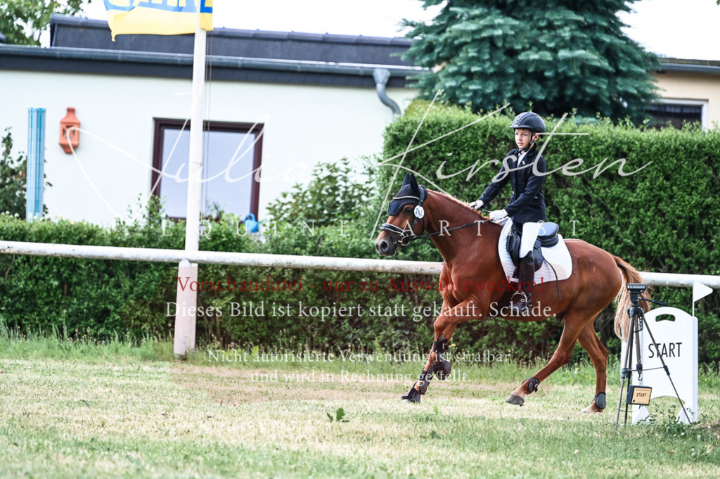 DSC_9056 | Pferde- und Turnierfotografie in Westsachsen. Pferdeportraits, Auftragszeichnungen und intuitive Kunst.