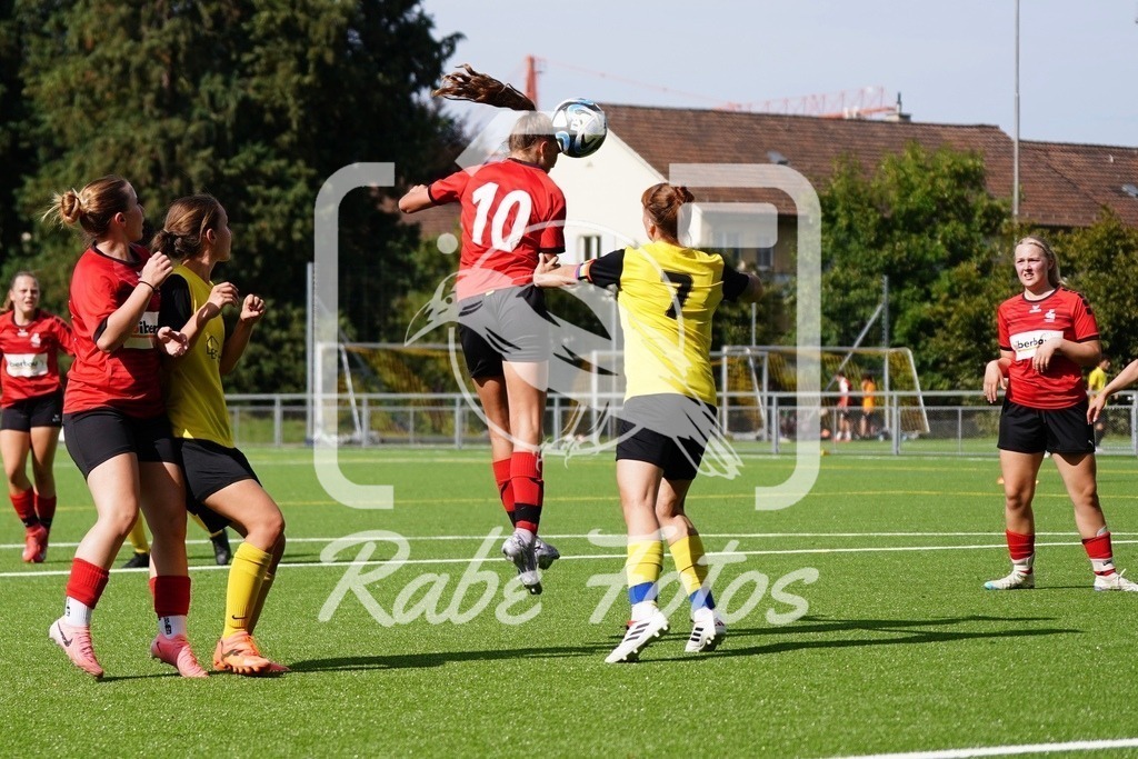 SON09223 | rabefotos