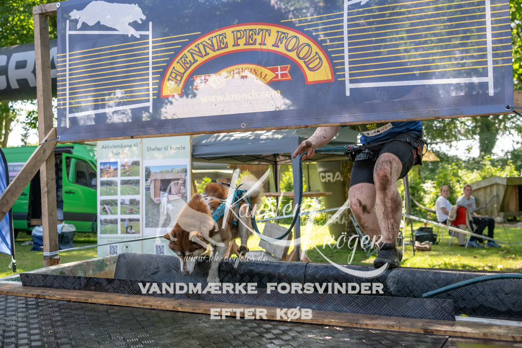 1453_ZZ94595 | kk-dogfotos