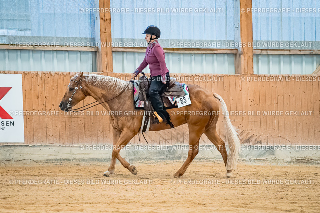 DSC00282 | Pferdegrafie