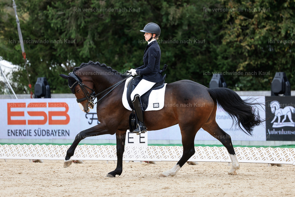 3-224-Dressur M_-StoibPH-2526 | working equitationturnier fotograf videograf stoibphotography marixx film working equitation deutschland reitsport turnierfotografie eventfotografie equestrian events