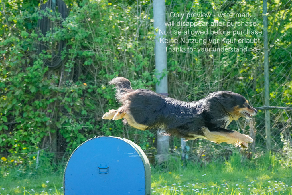 Sa_VK3_03-11 | stephaniefillaphotographie - Realisiert mit Pictrs.com