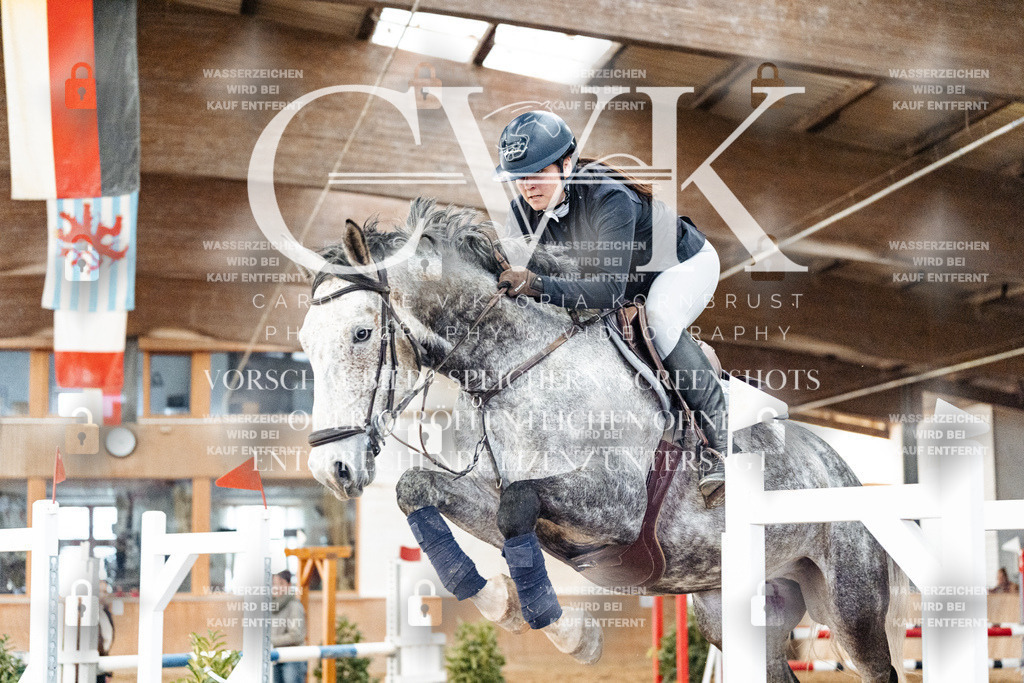 CK906348 | Turnierfotografie Pferdefotografie Trier Rheinland-Pfalz Pferdesport Reitsport Tierfotografie Sportfotografie Pferdevideo Pferdevideografie Equestrianvideography equestrianphotography  - Realized with Pictrs.com