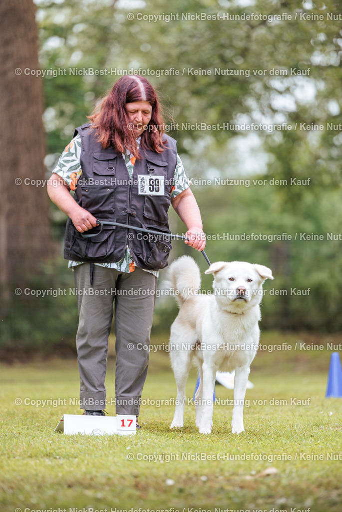 RO-Blumenthal-2026-Nickbest-Hundefotografie-5055 | Dein Hund! Dein Moment! Deine Erinnerungen! Hundefotografie in Bremen Blumenthal. Ich fange die besonderen Momente deines Vierbeiners ein – ob Indoor mit Blitzanlage oder in der freien Natur. Sicher dir dein Moment und dein Termin für eure Erinnerungen.