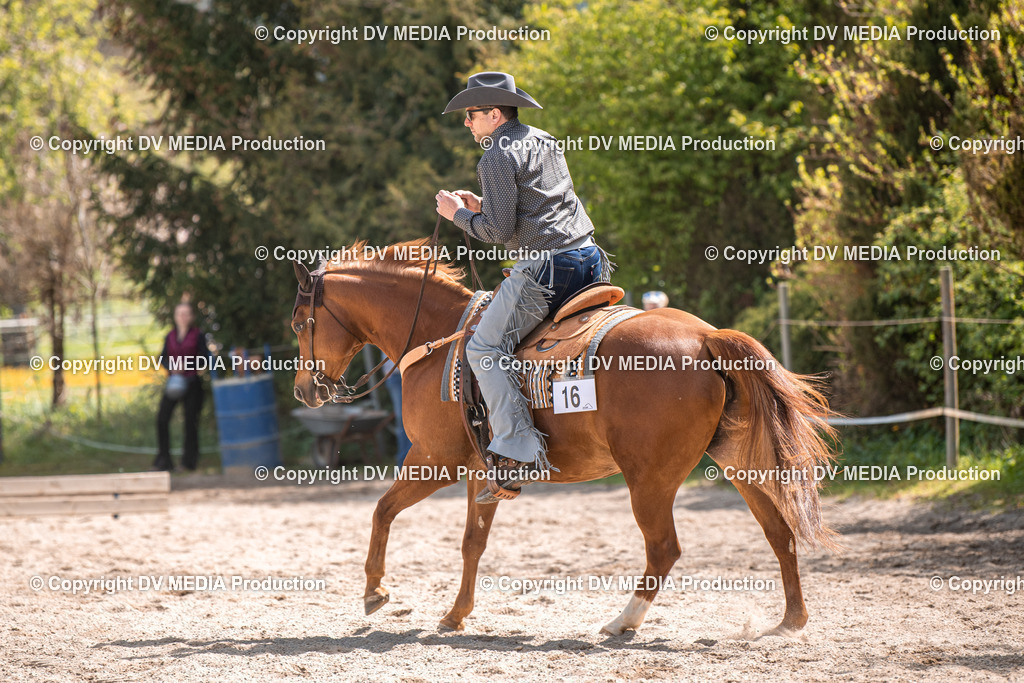 Balingen Tag 3-499 | dv-media-shop - Realisiert mit Pictrs.com