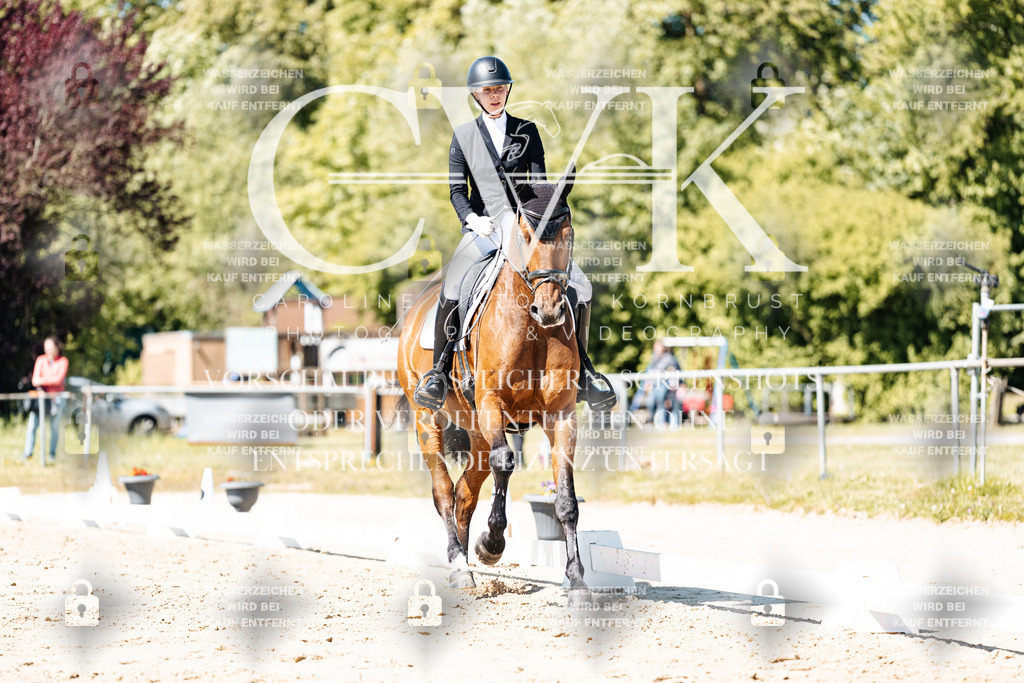 CK905239 | Turnierfotografie Pferdefotografie Trier Rheinland-Pfalz Pferdesport Reitsport Tierfotografie Sportfotografie Pferdevideo Pferdevideografie Equestrianvideography equestrianphotography  - Realisiert mit Pictrs.com
