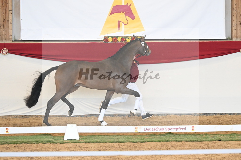 Kat.-Nr. 90 v. Zackerey_Horzetzky_3261350 | hf-fotografie - Realizzato con Pictrs.com